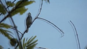 test fujifilm finepix s8600 | Fujifilm Finepix s8600 zoom 36x