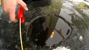 Зимние поклевки подлещика: классический поплавок, отводной поводок, мормышка [salapinru]