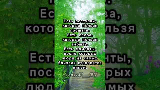 Yusuf N смотреть онлайн