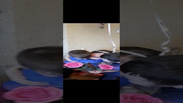 VID-20210503-WA0075 смотреть онлайн