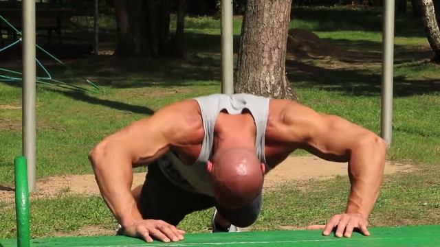 Пресс, плечи, трицепс на спортплощадке  Денис Семенихин