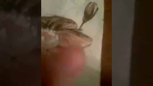 Красная книга природы смотреть онлайн