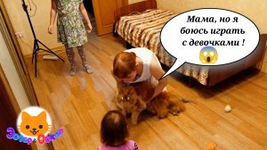 КОТИКИ ЭСТЕР И ОСКАР БОЯТСЯ ИГРАТЬ С ДЕТЬМИ | Наташа и К°тики  #мейнкун #почемукошкибоятсядетей