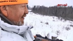 Зимние загоны в Тверской области.  Большая загонная охота. Часть 2.