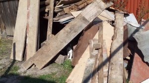 как приучить котёнка ходить в туалет на улицу/ приучение к выгулу