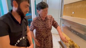 Секреты правильного ведения птицеводства /// Инкубационные яйца