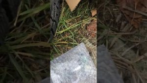 Зима близко! Ставлю новые диски, зимнюю резину, датчики давления на Прадо 150