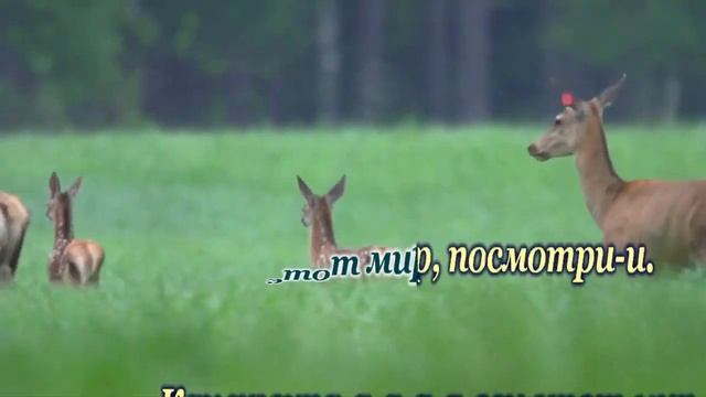 Kaк пpeкpaceн этот мир- караоке