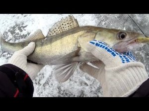 ВТОРОЙ ПЕРВЫЙ ЛËД 2023 !!! РЫБАЛКА НА СУДАКА ЗИМОЙ