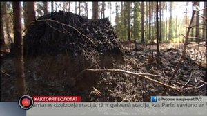 Как горят болота?