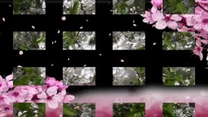 Новая красивая песня. Вишнёвый сад    муз. и исп. Нины Вереск