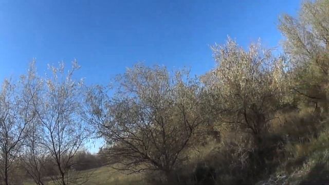 Охота на фазана 4 .11. 2023 г. смотреть онлайн