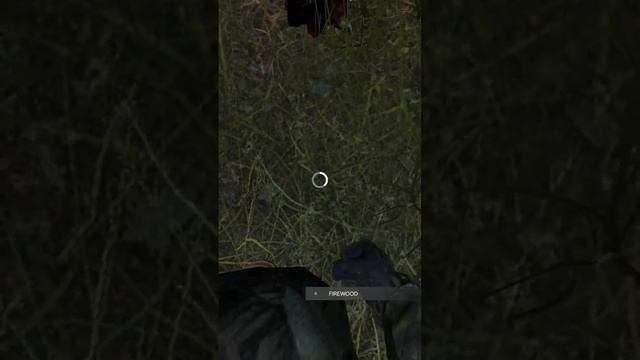 How to make a Fire within 60 seconds - DayZ Xbox