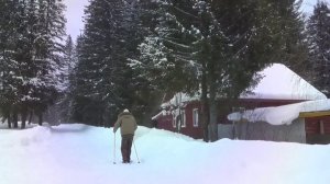 Треллер канала: "Данилыч-Жизнь на Даче"