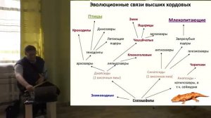 252-201 Мезозой_Триас_ Александр Ипатов