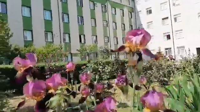всем здоровья, мира и добра!