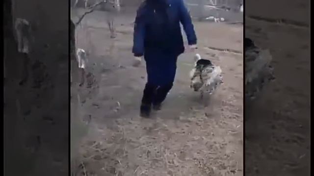 Ну скажи мне лезгинка почему ж ты меня не любишь #Нускажимнелезгинкапочемужты менянелюбишь смотреть онлайн