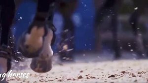 клип про лошадей