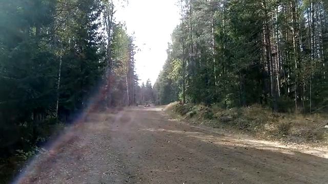 Ралли Санкт Петербург 2020 смотреть онлайн