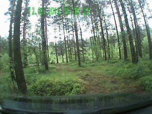 На шевроле ниве через лесок