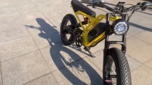 akez Electric Bike for Adults Fat Tire Ebike 750W/1500W 20inch 45km/h E-Bike 18AH Lithium Battery