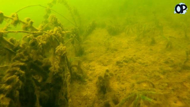 Гибель рака смотреть онлайн