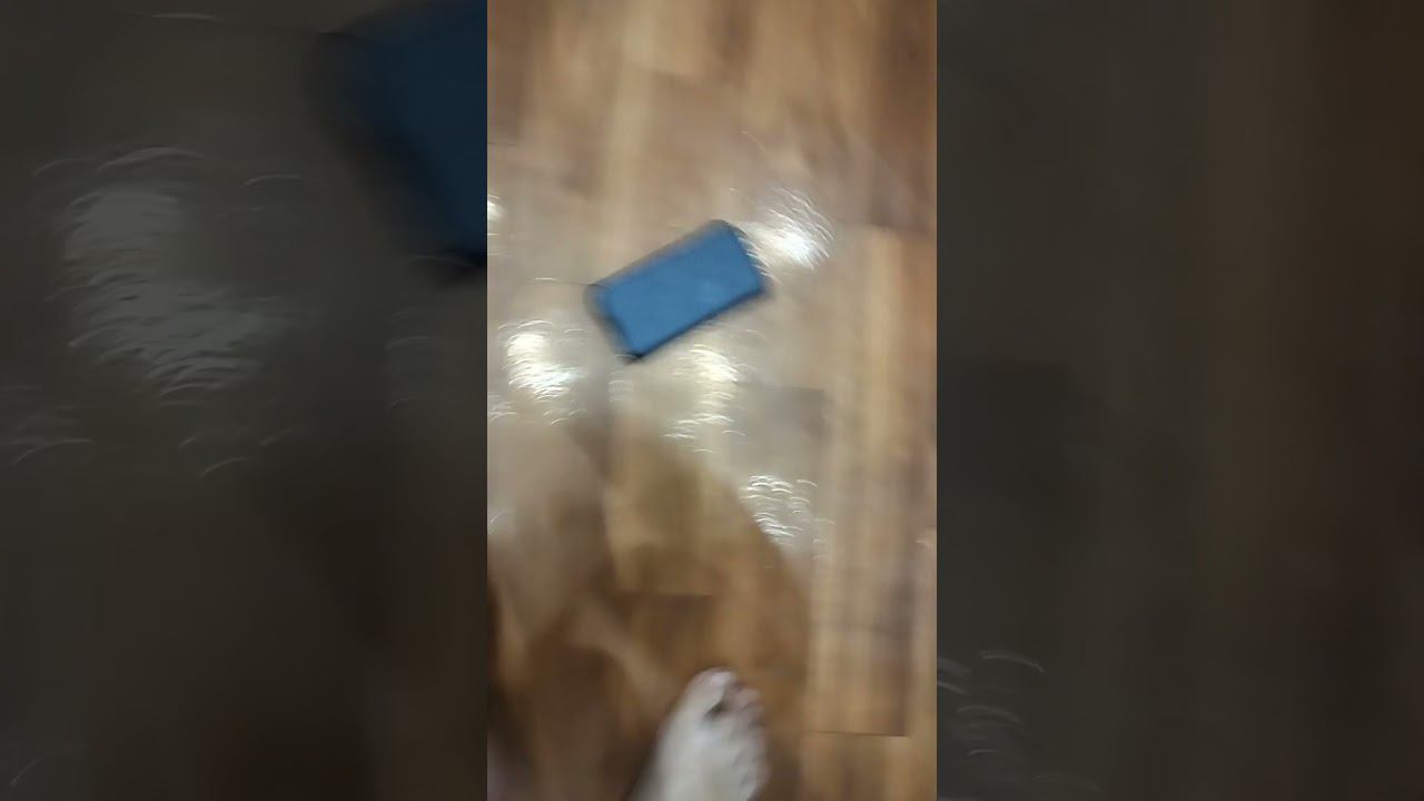 14 июля 2024 г. смотреть онлайн