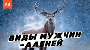 КЛАССИФИКАЦИЯ АЛЕНИЗМА. КАКИЕ БЫВАЮТ АЛЕНИ | МУЖСКОЙ АЛЕНИЗМ