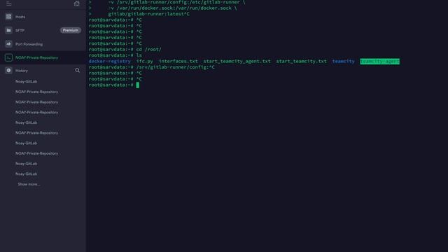 how to run and set gitlab runner agent смотреть онлайн