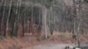 Дорога к водопаду «Учан-Су» на авто. Часть 2. Бахчисарайское шоссе.04.12.21.Ялта.Крым.Crimea.Yalta.