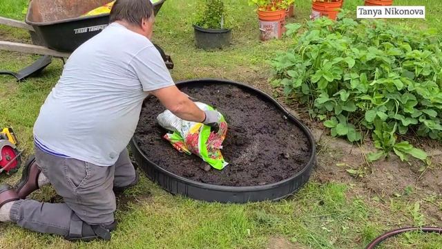 Высадили АРБУЗ И КАБАЧОК в одну грядку. Выращивание кабачков на компостной куче.