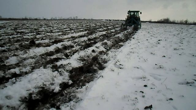 Глубокое рыхление или вспашка? Эксперимент с подсолнечником.