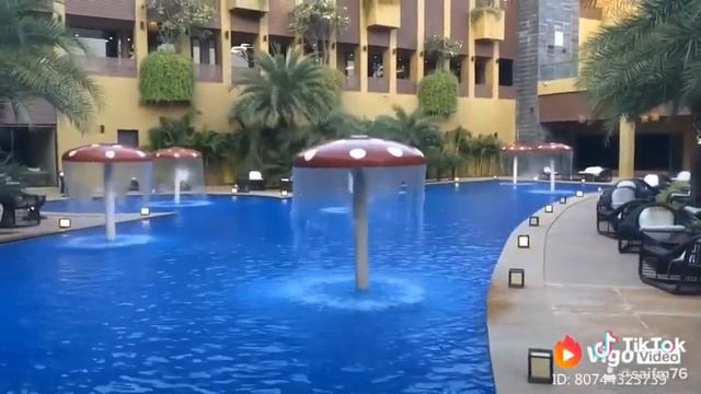 The golden palm city смотреть онлайн