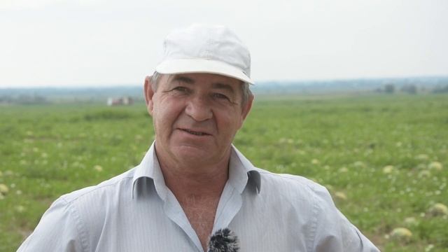 Сбор урожая арбузов в ст. Баклановской смотреть онлайн