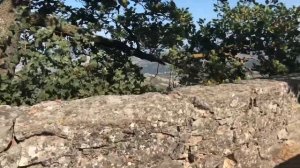 HIKING IN MONTE TITANO, IN REPUBBLICA DI SAN MARINO