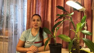 ПЛЮМЕРИЯ- это просто!