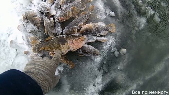 Рыбалка в Омской Области. Очередная вылазка за ратаном Тюкалинск. Сажино. смотреть онлайн