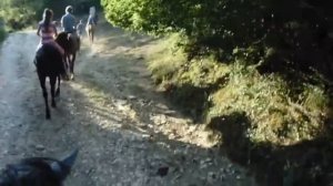 Конная прогулка в Абхазии. Красота Кавказских гор!