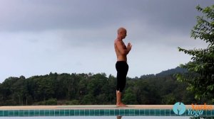 Сурьянамаскар , различные варианты выполнения.