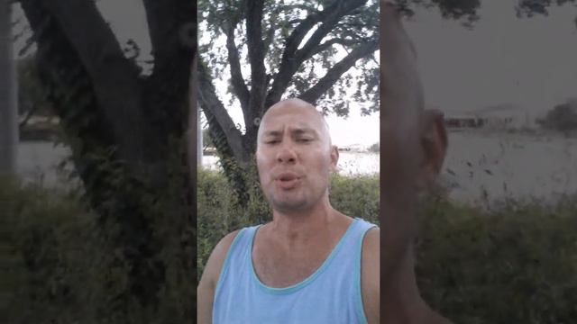 рептоиды рептилоиды анунаки инопланетяне пришэльцы плеяды плеядианцы конспирацыя 44