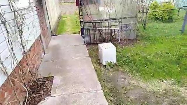 Дождевая вода  Эффективное использование