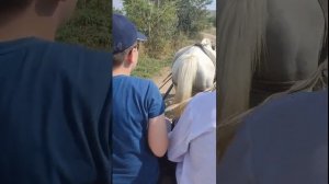 День Независимости Молдовы в Старом Орхее (27.08.2022)