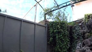 Лазаревское,обзор гостевого дома улица согласие-20