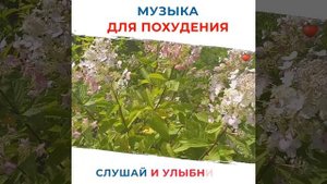 Музыка для похудения! Лучшая пОхудительная музыка года! Упражнения для женщин