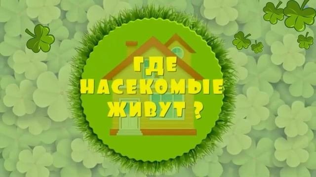Лилия Гаврилова, воспитатель Школы № 2083. Где живут насекомые