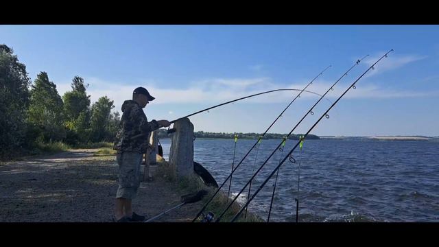 ДВЕ РЫБАЛКИ В ОДНОЙ РЕКА ДНЕПР ЧАСТЬ 1 #рыбалка #природа #днепр #fishing #трофей #лещ #лещнафидер