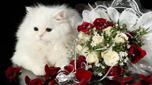 🌺🥳🌺Поздравление с 18-летием девушке🌺🥳🌺