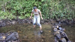 TOP VIDEOS: Fishing Techniques, Unique Fishing, Harvest Big Fish In The Lake, Creat Traps Catch Fis