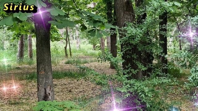 Таланты: какие знаки зодиака их прячут смотреть онлайн