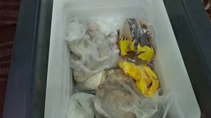 LIBHOF-Q26 автохолодильник